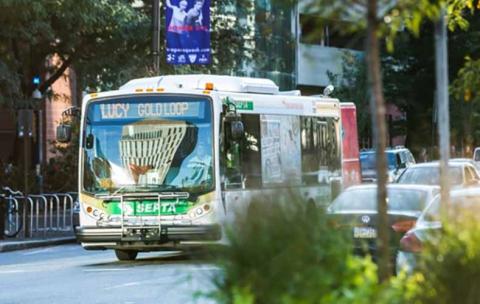 Lucy bus